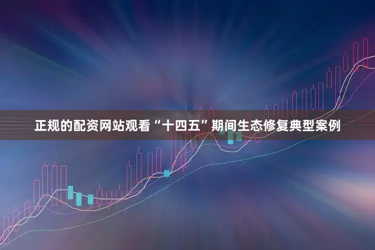 正规的配资网站观看“十四五”期间生态修复典型案例