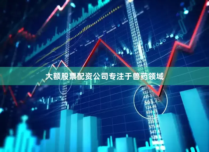大额股票配资　　公司专注于兽药领域