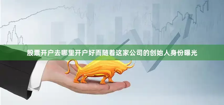 股票开户去哪里开户好而随着这家公司的创始人身份曝光
