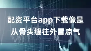 配资平台app下载像是从骨头缝往外冒凉气