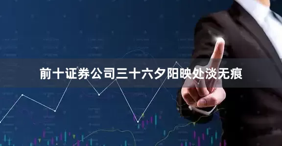 前十证券公司三十六夕阳映处淡无痕
